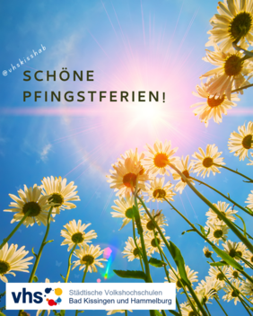 Blumenwiese